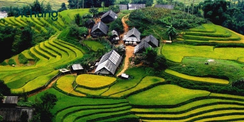 Tổng hợp các xe Hà Nội đi Sapa chất lượng, giá rẻ