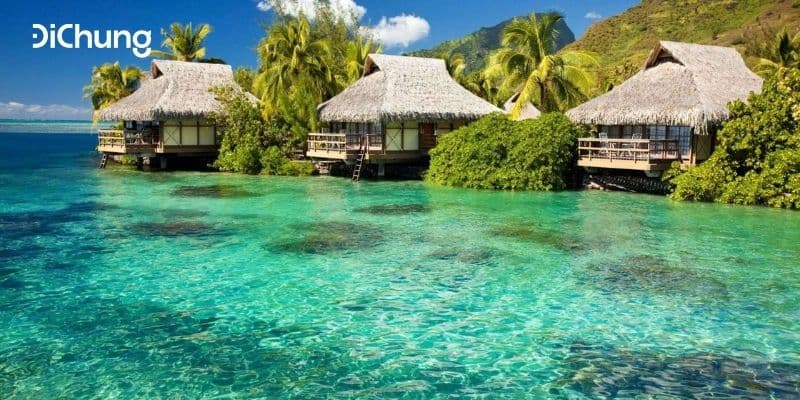 Sân bay quốc tế Phú Quốc – Tổng hợp thông tin từ A đến Z