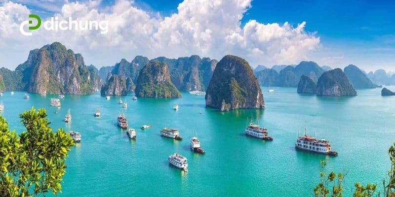 Xe chất lượng cao đi Hạ Long chỉ với 200,000đ/khách