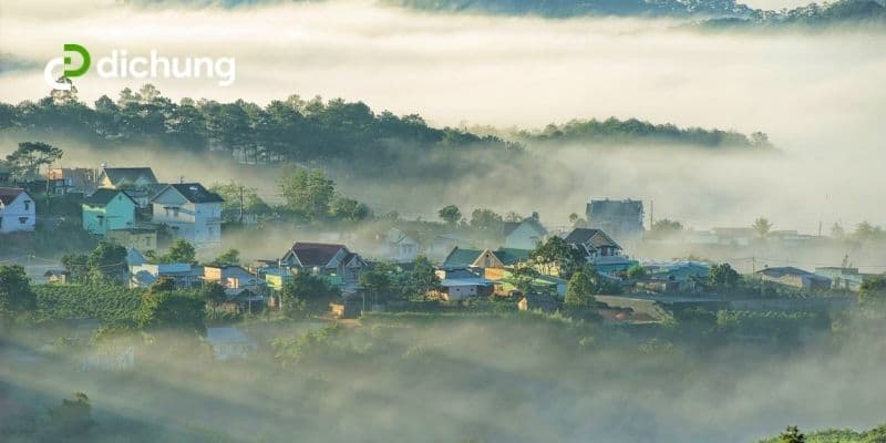 Đơn vị cung cấp dịch vụ thuê xe ô tô Đà Lạt uy tín hàng đầu