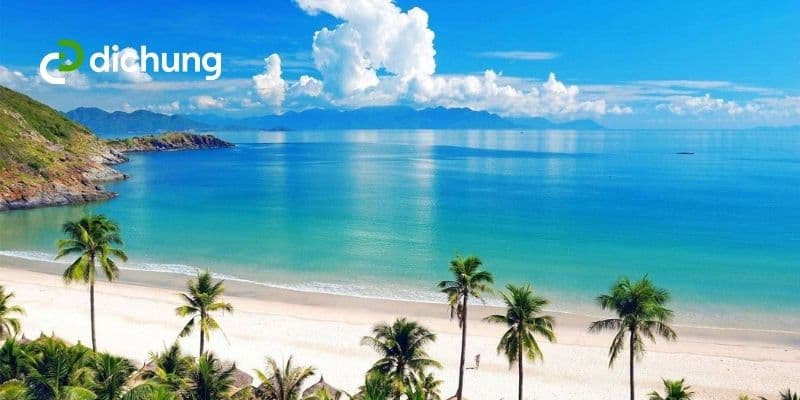 Thông tin chi tiết dịch vụ thuê xe du lịch Đà Nẵng tại Đi Chung