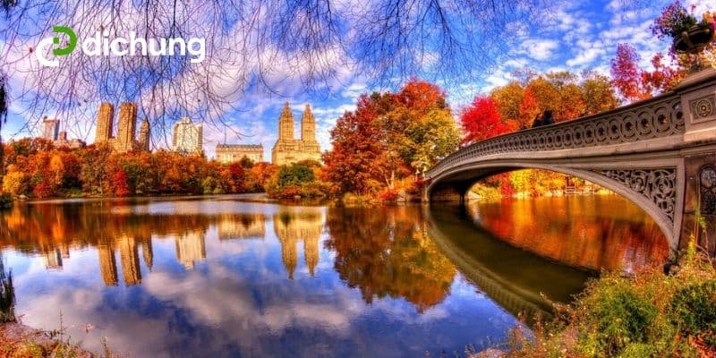 Gửi hàng đi Mỹ giá rẻ hàng đầu, thời gian nhanh chóng