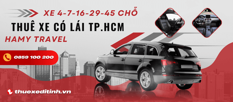 Cho Thuê Xe Có Tài Xế Lái Chuyên Nghiệp Giá Rẻ