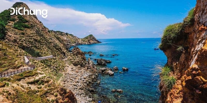 Xe đưa đón sân bay Phù Cát: giá vé, kinh nghiệm đặt xe