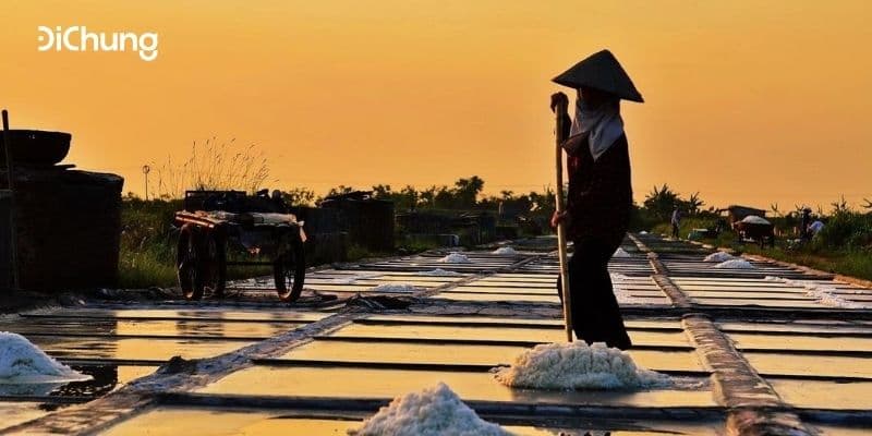 Top 5 hãng xe limousine Hà Nội Thái Bình uy tín, chuyên nghiệp