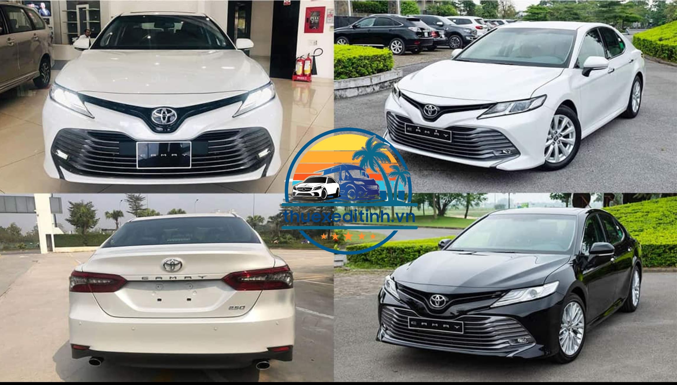 Cho Thuê Xe Vũng Tàu Giá Rẻ – Xe 4 - 7-16-29-45 Chỗ, Có Tài Xế
